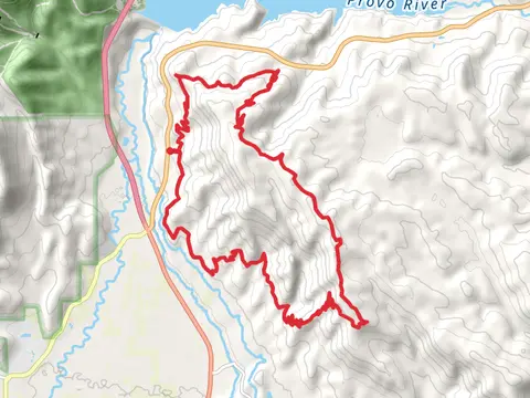 Coyote Long Loop