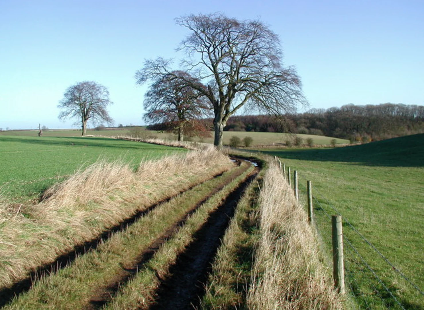 An image depicting the trail Hessle to South Cave Walk and its surrounding area.