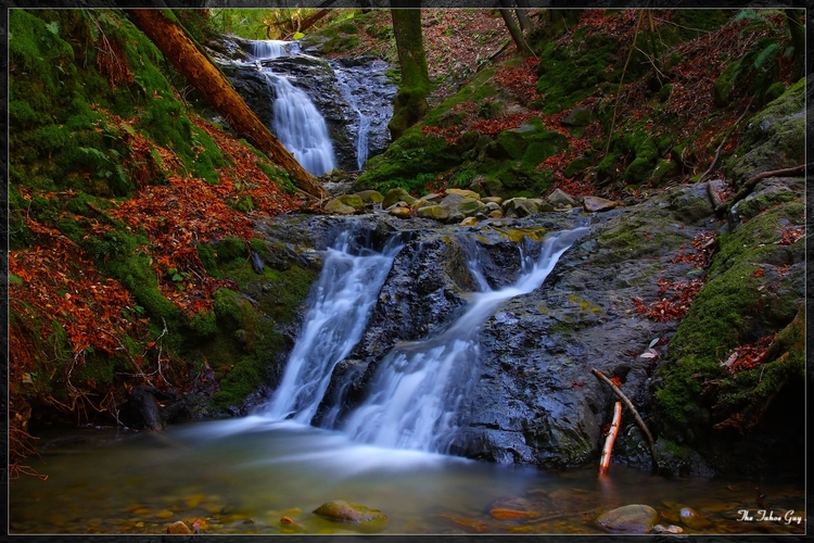Swanson Creek, Waterfall Trail and Triple Falls Loop