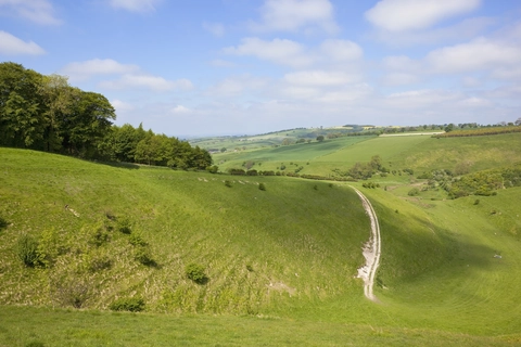 Circular from Wayrham Through Painsthorpe