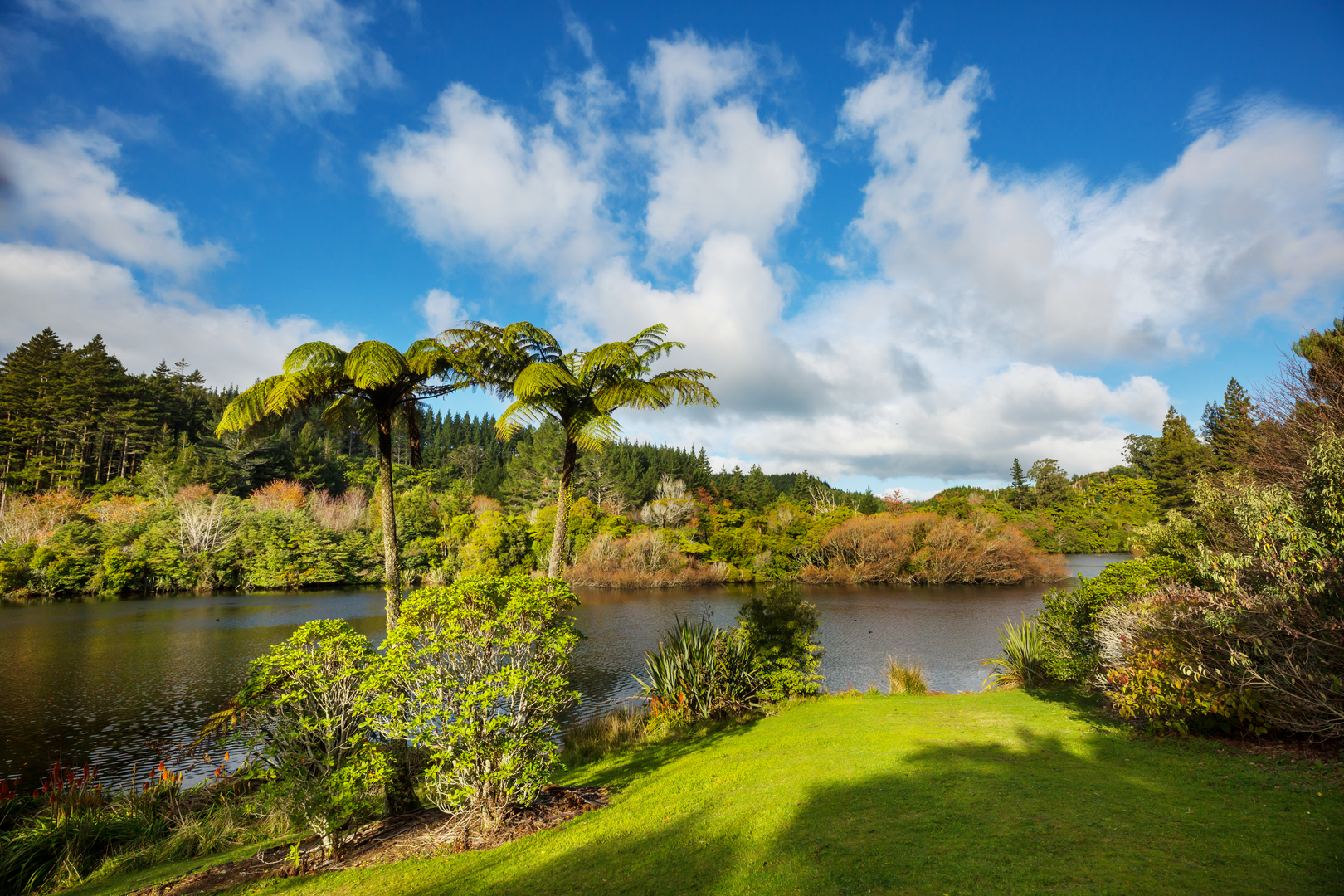 An image depicting the trail Lake Mangamahoe Lower Lakeside Trail and its surrounding area.