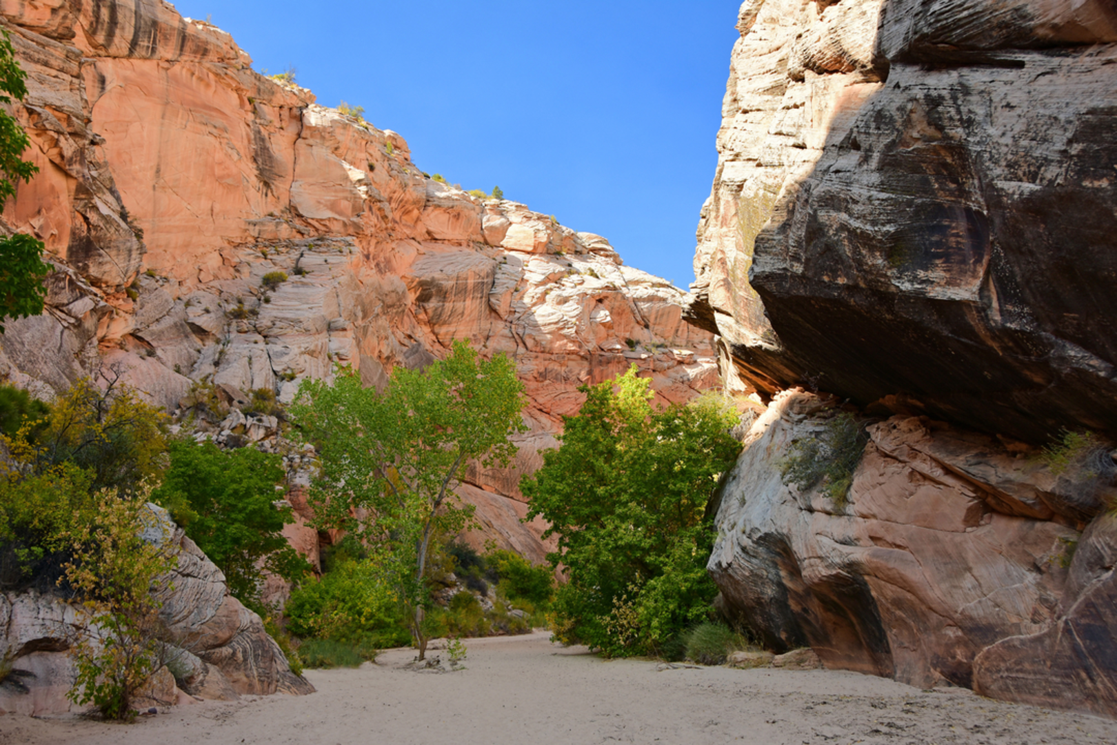 An image depicting the trail Cottonwood Wash Trail and its surrounding area.