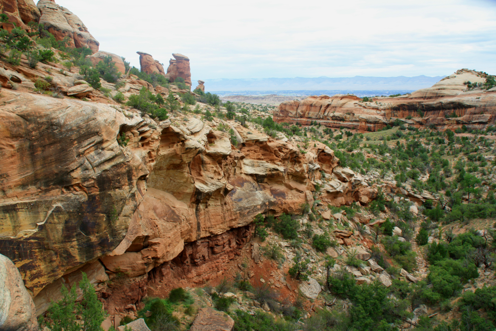 An image depicting the trail Ant Hill Loop via Soldier Pass Trail and its surrounding area.