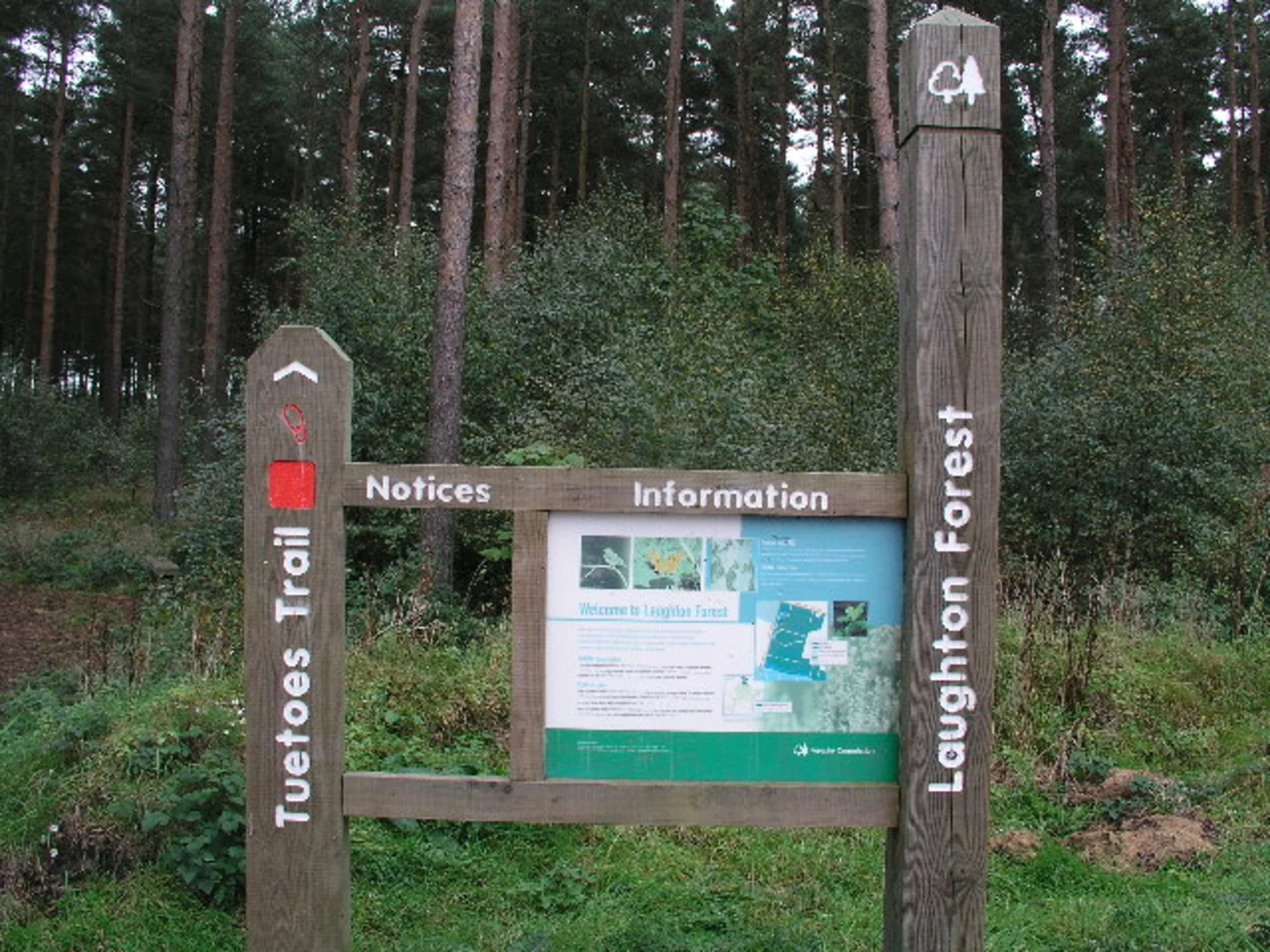 An image depicting the trail Hardwick Hill and Laughton Forest Loop and its surrounding area.