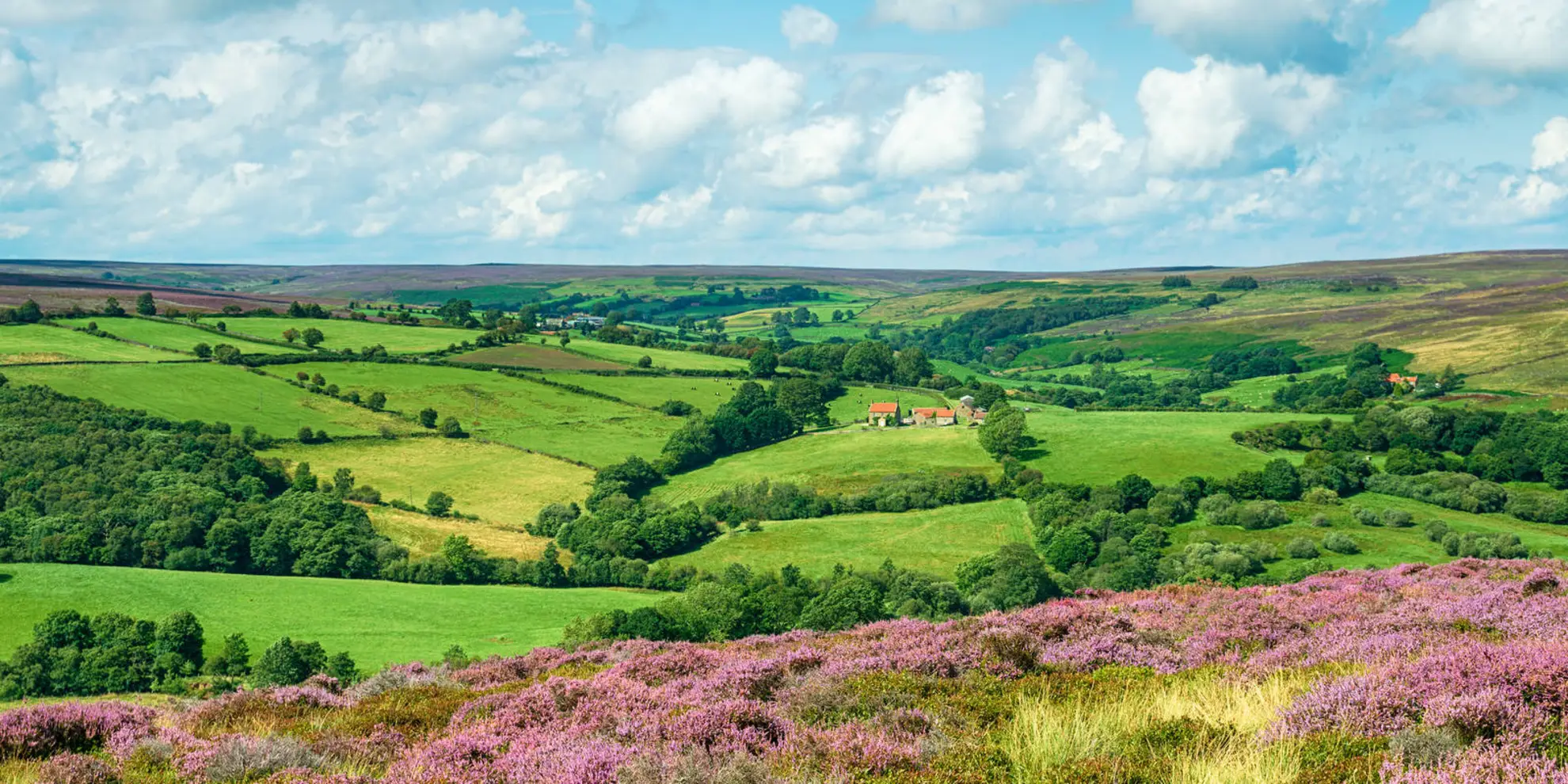 An image depicting the trail Commondale and Esk Valley from Danby and its surrounding area.