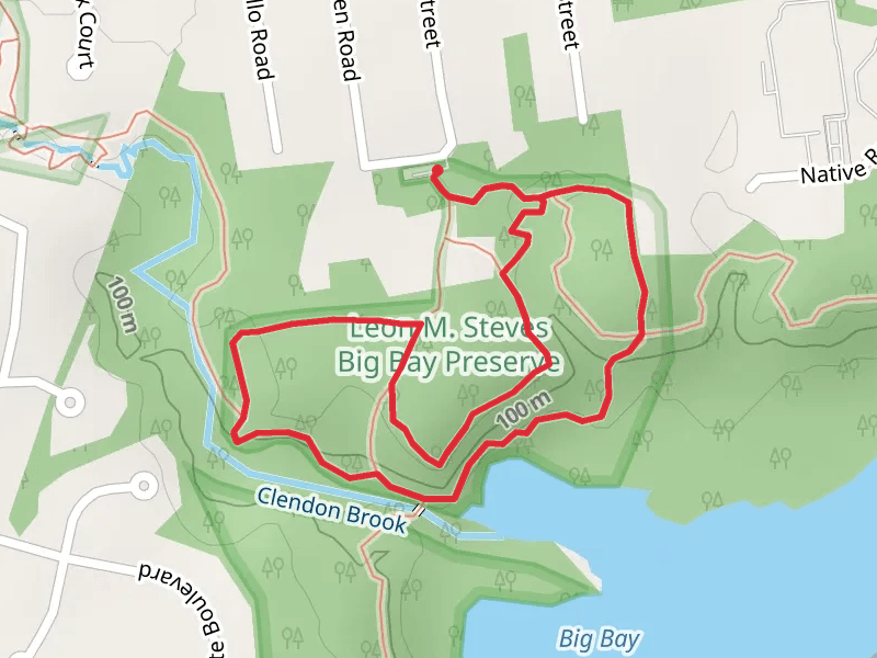 Clendon Brook Loop Trail