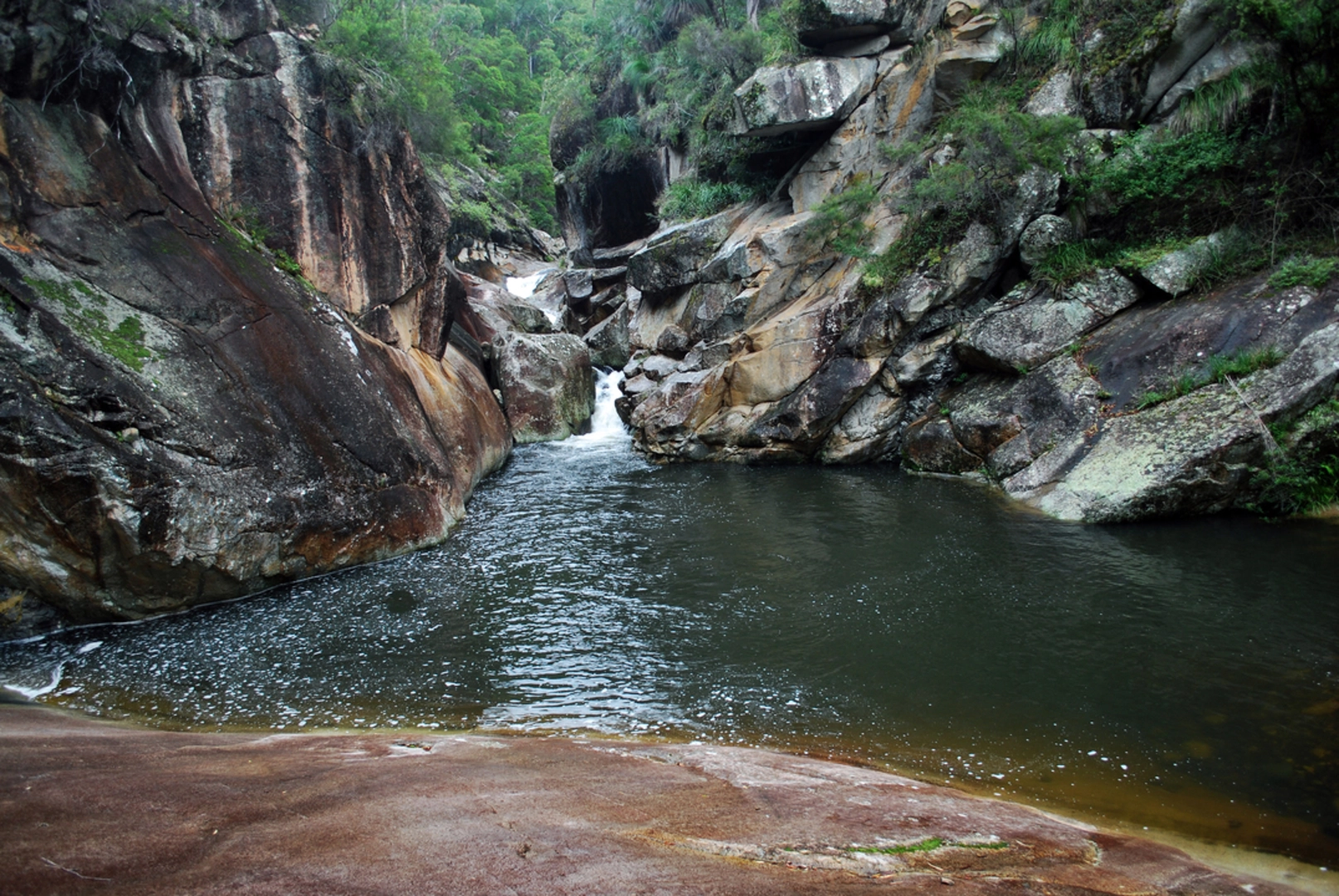An image depicting the trail Upper Portals Track and its surrounding area.