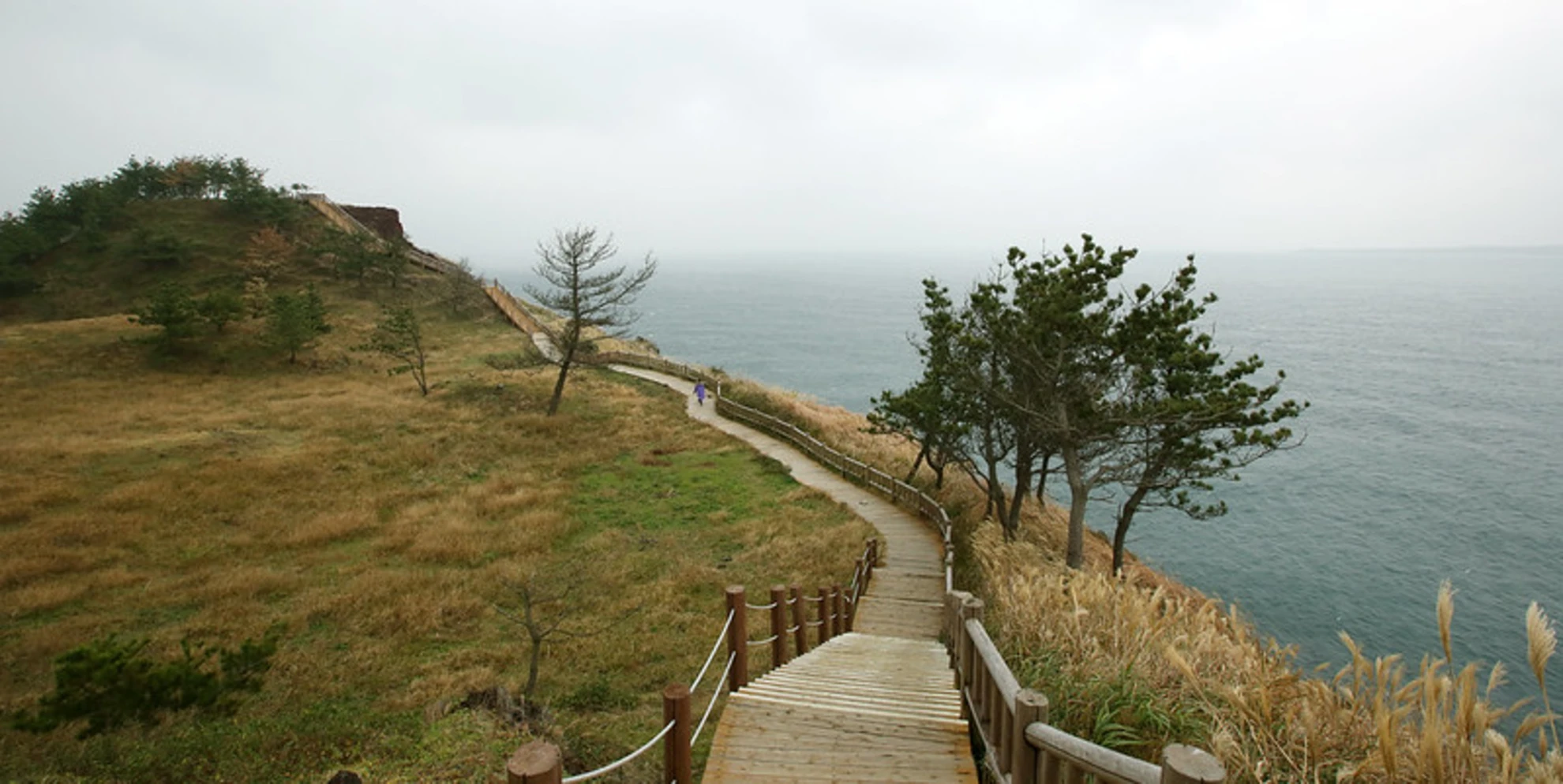 An image depicting the trail Jeju Olle Trail and its surrounding area.