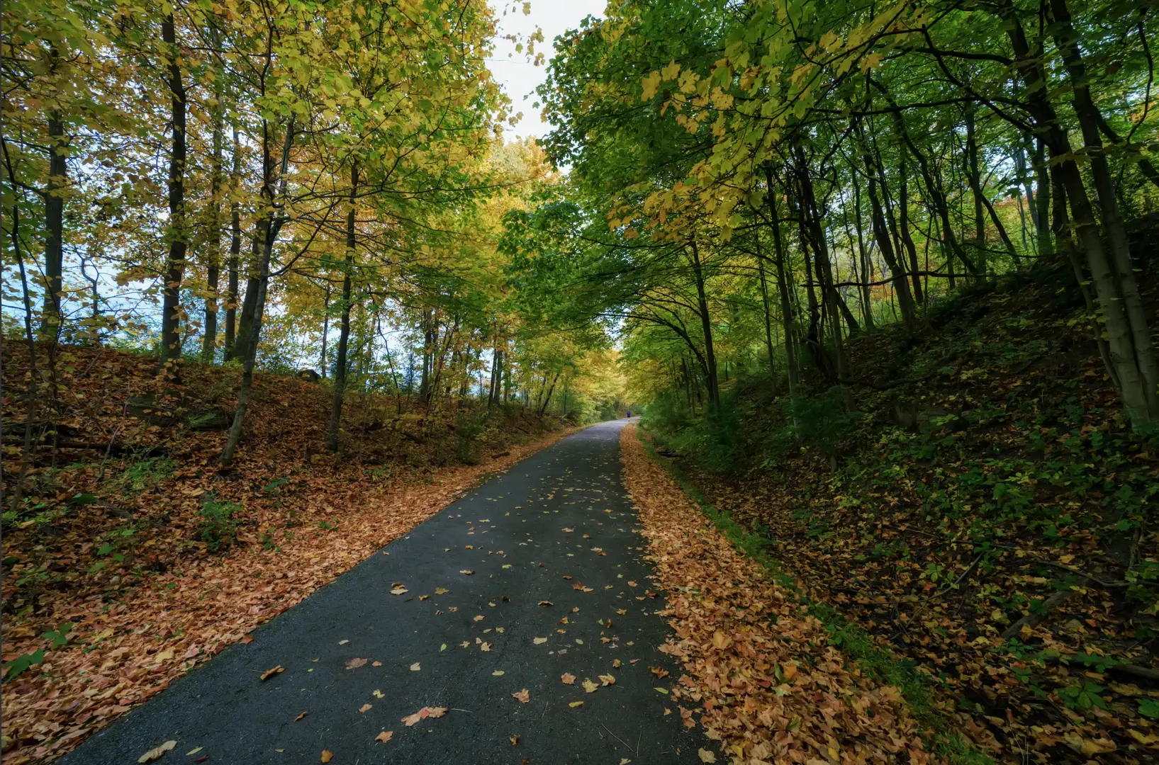 An image depicting the trail Montour Walk and its surrounding area.