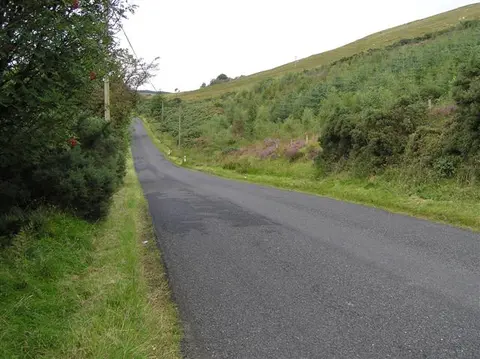 Moydamlaght Forest - Short Trail