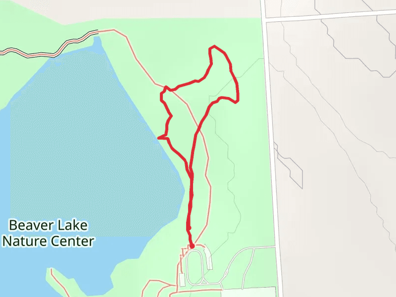 Trail near Mud Lake