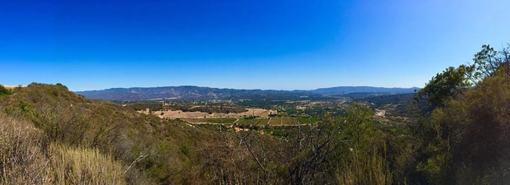 An image depicting the trail Cozy Dell Trail and its surrounding area.
