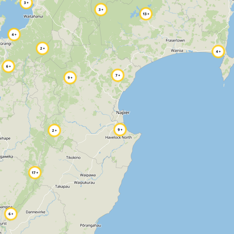Napier City Static Map