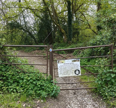 Tandridge - Chelsham loop - Henley Wood, Holt wood and St Leonards