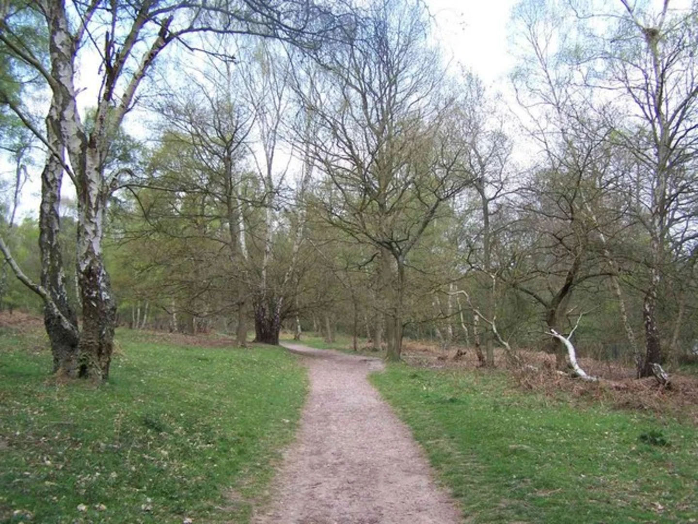An image depicting the trail Abraham's Valley and Haywood Warren from Severn Springs and its surrounding area.