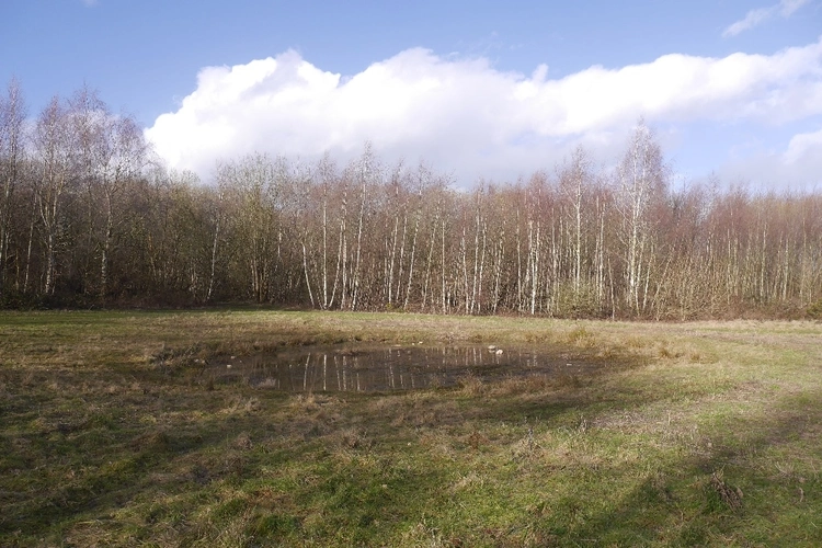 Stanmore Country Park Shropshire