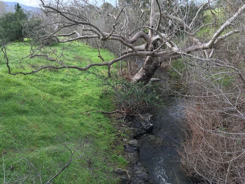 Dairy Creek Road Loop East