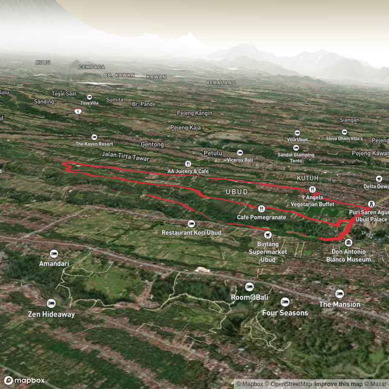 Campuhan Ridge & Sweet Orange Walk Trail Ubud