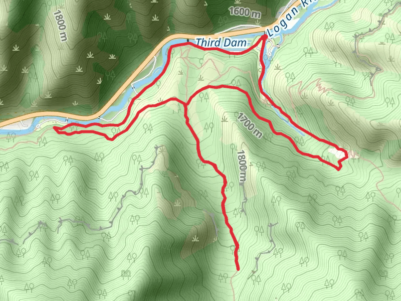 Bridger Look Off Trail and Mill Hollow Trail