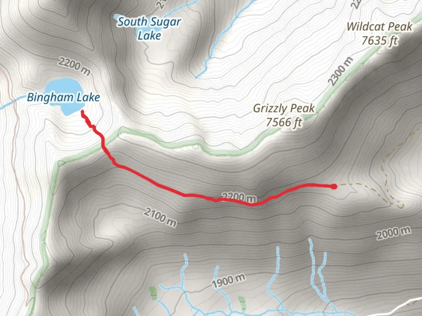 An image depicting the trail Bingham Lake and its surrounding area.