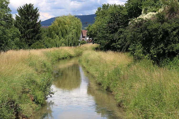 Rundwanderweg Wiesloch and Obst-Lehtpfad Nussloch