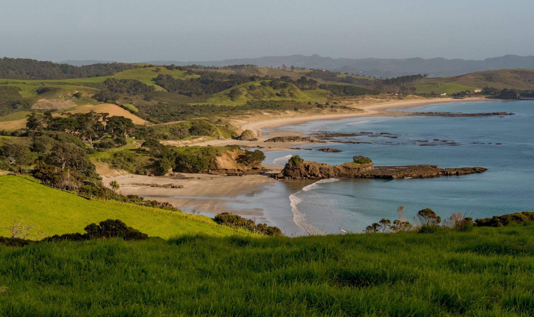 An image depicting the trail Tawharanui South Coast and North Coast Loop Track and its surrounding area.