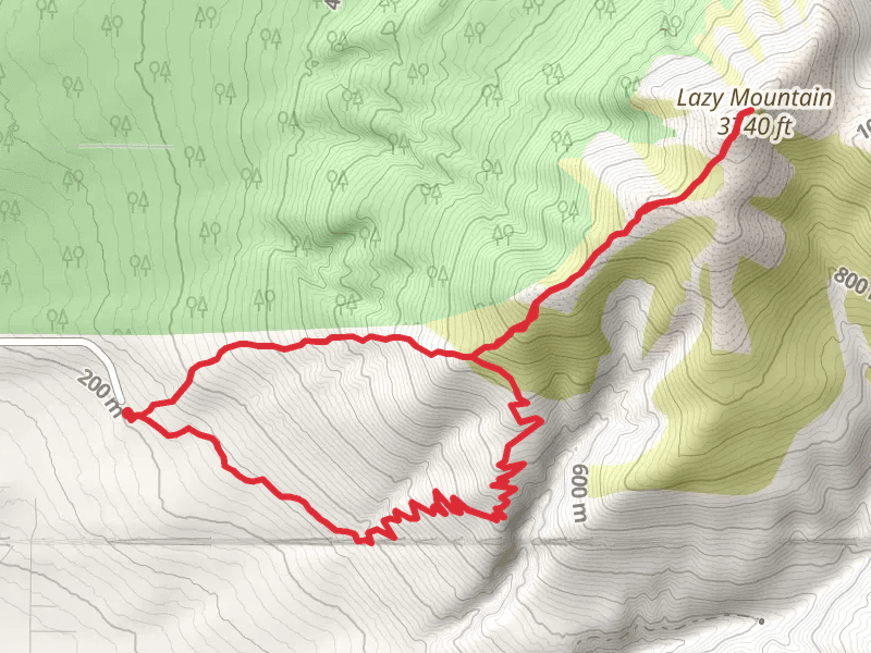 Lazy Mountain Trail