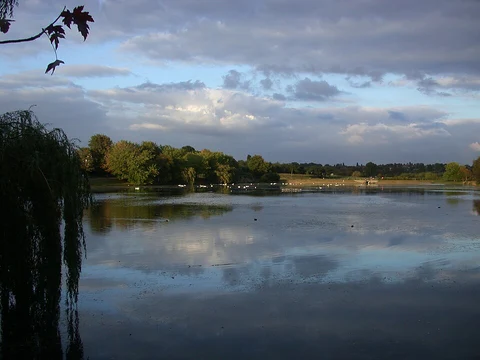 Witton Lakes to Longmoor Pool Walk