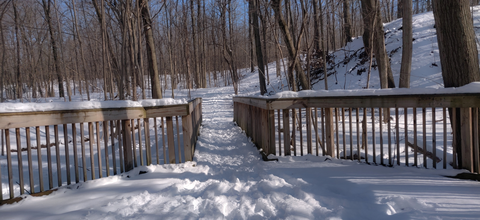 French Creek via Nature Trail and Big Woods Trail