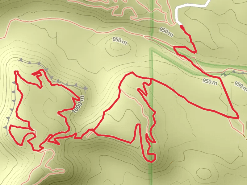Rim Rock Trail and Rim Ramble Trail