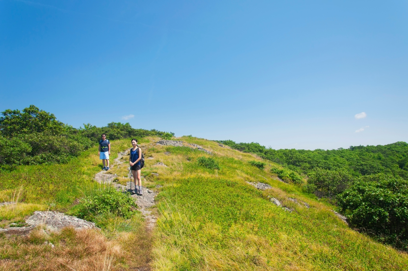 An image depicting the trail South Taconic Trail Loop via Bash Bish Brook and its surrounding area.