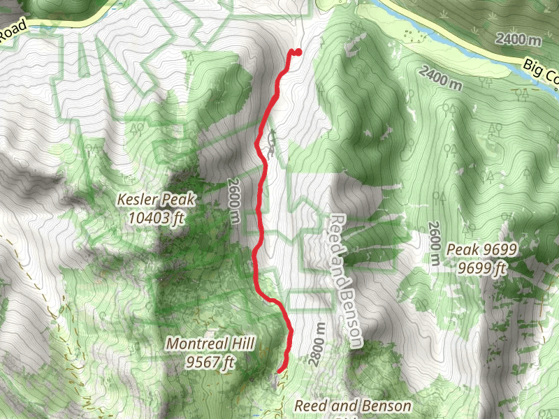 Cardiff Fork Trail