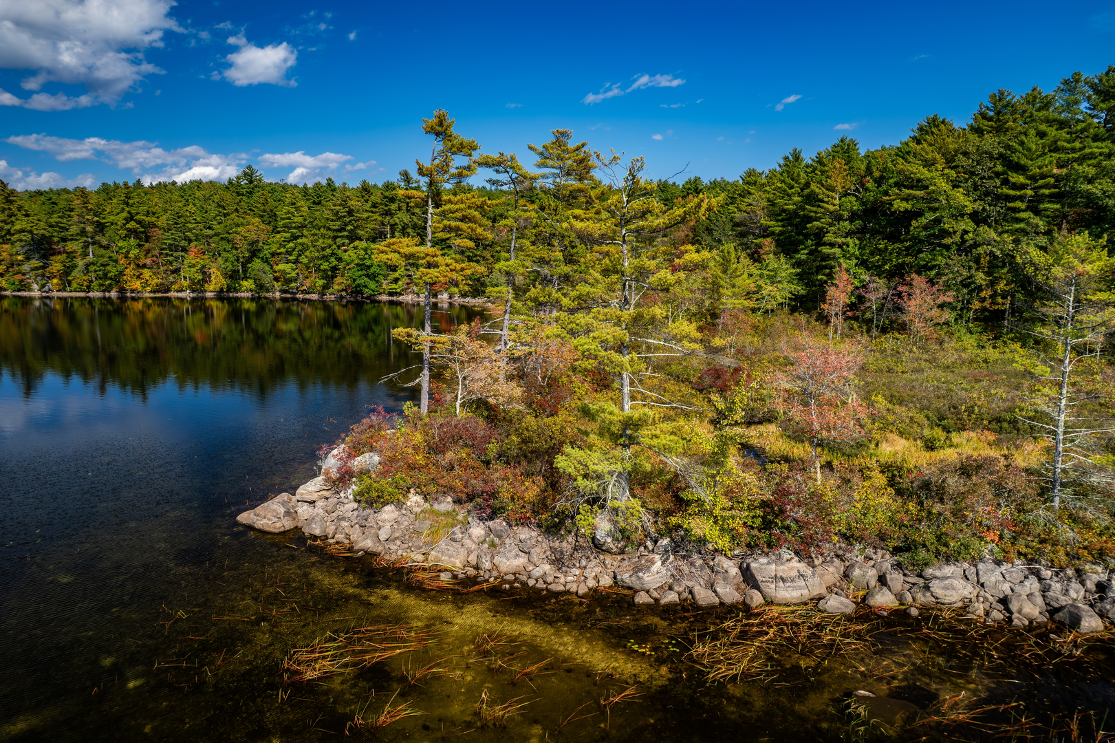 An image depicting the trail Walk along Massabesic Lake from Fired Road 36 and its surrounding area.