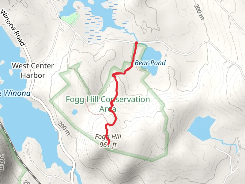 Fogg Hill Trail