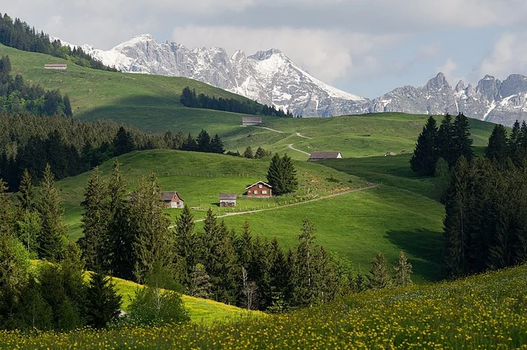 Bruggerenwald - Nasen - Hochalp