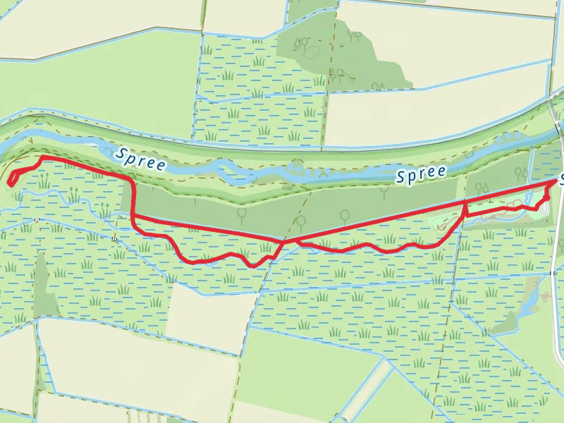 Renaturierte Spreeaue Auerochsenreservat Loop