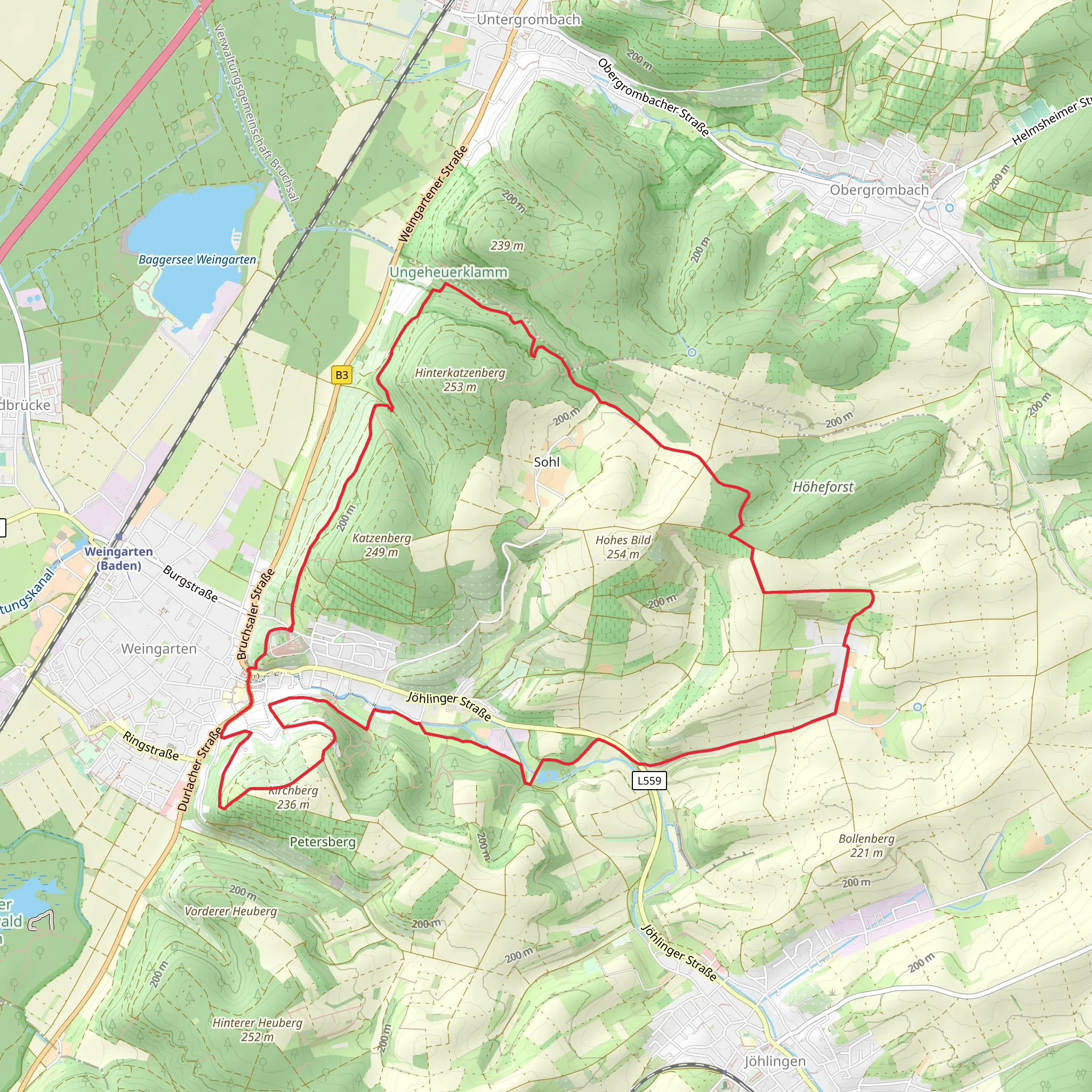 Schlossbergsee via Odenwald-Vogesen Weg and Ueber Sanfte Huegel zur Schoenen Aussicht mobile static map