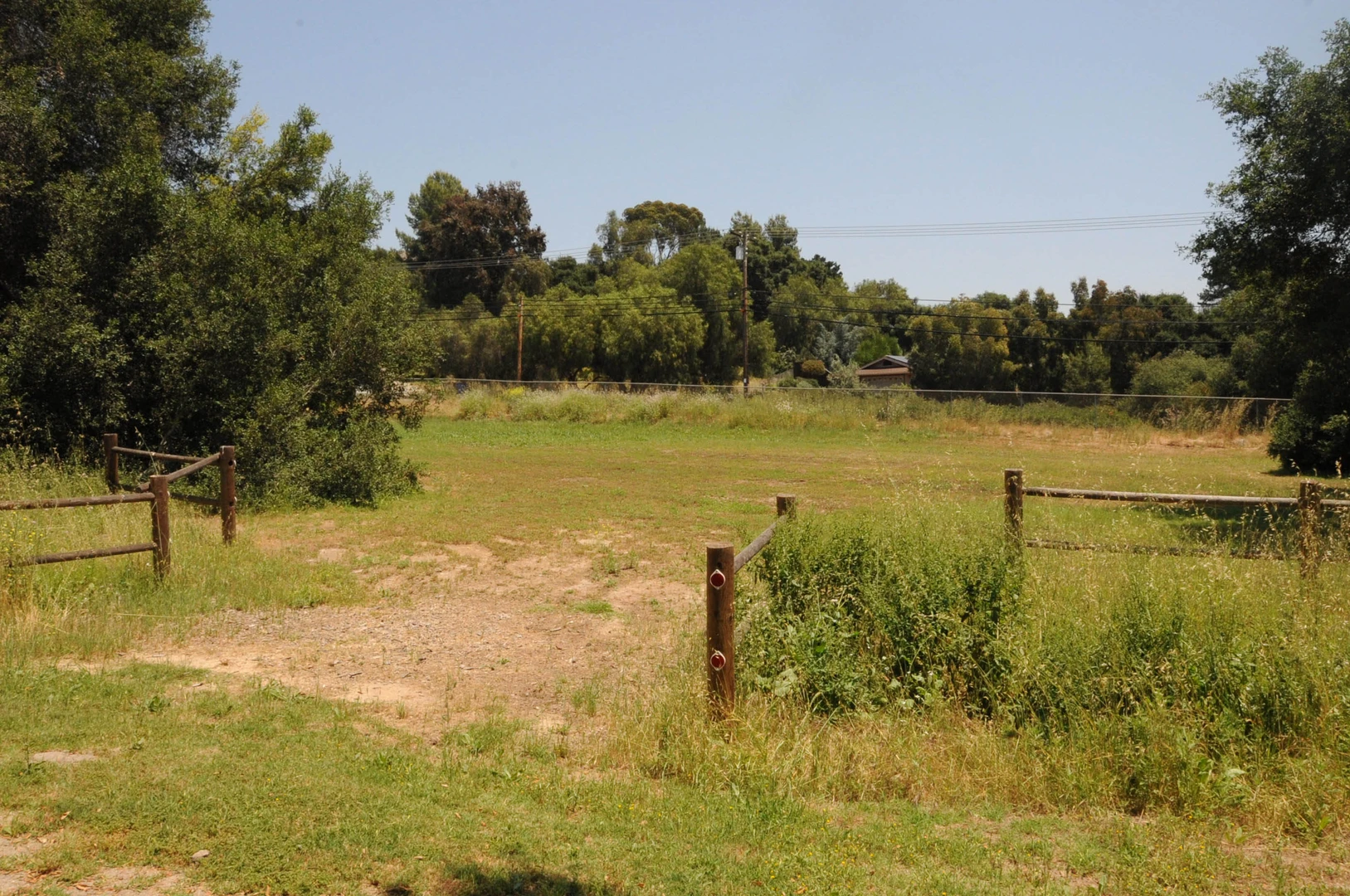 An image depicting the trail Felicita Creak - Felicita County Park Loop and its surrounding area.