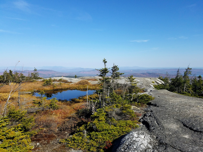 Firescrew Mountain Loop Trail