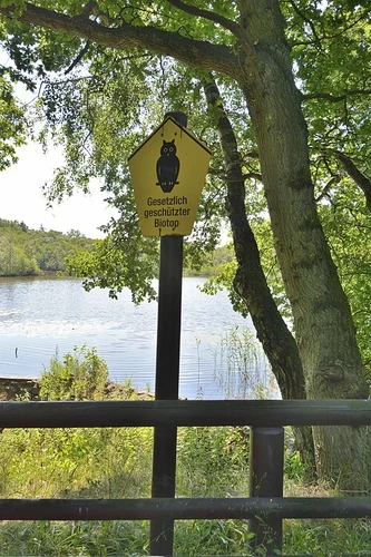 Spaziergang im Stadtforst Itzehoe Loop