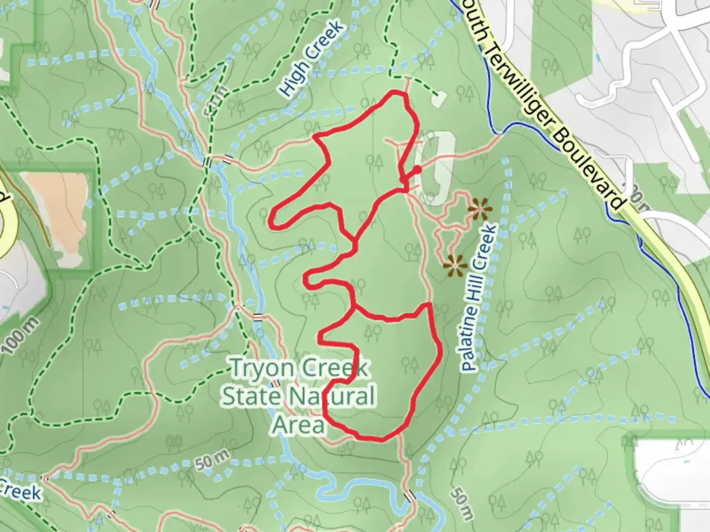 An image depicting the trail Maple Ridge, Big Fir and Old Main Loop Trail and its surrounding area.