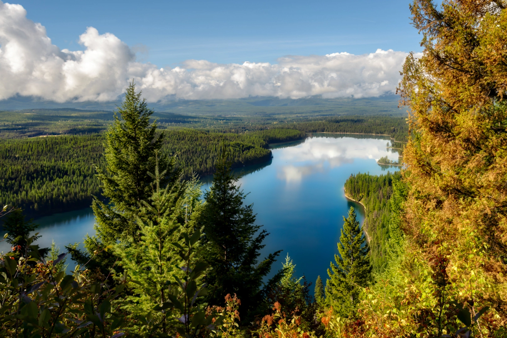 An image depicting the trail Holland Falls Trail and its surrounding area.