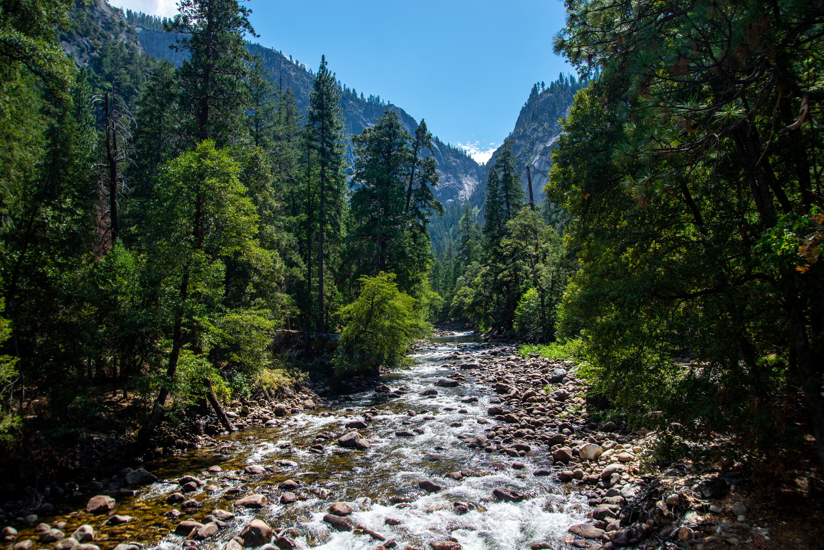 An image depicting the trail Merced River - Valley Loop Trail and its surrounding area.