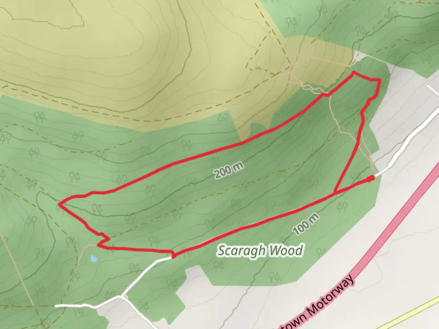 An image depicting the trail Scaragh Woods Blue Trail and its surrounding area.