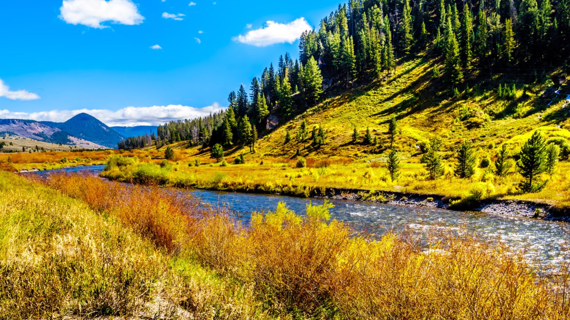 An image depicting the trail Fan Creek Campsite Trail and its surrounding area.