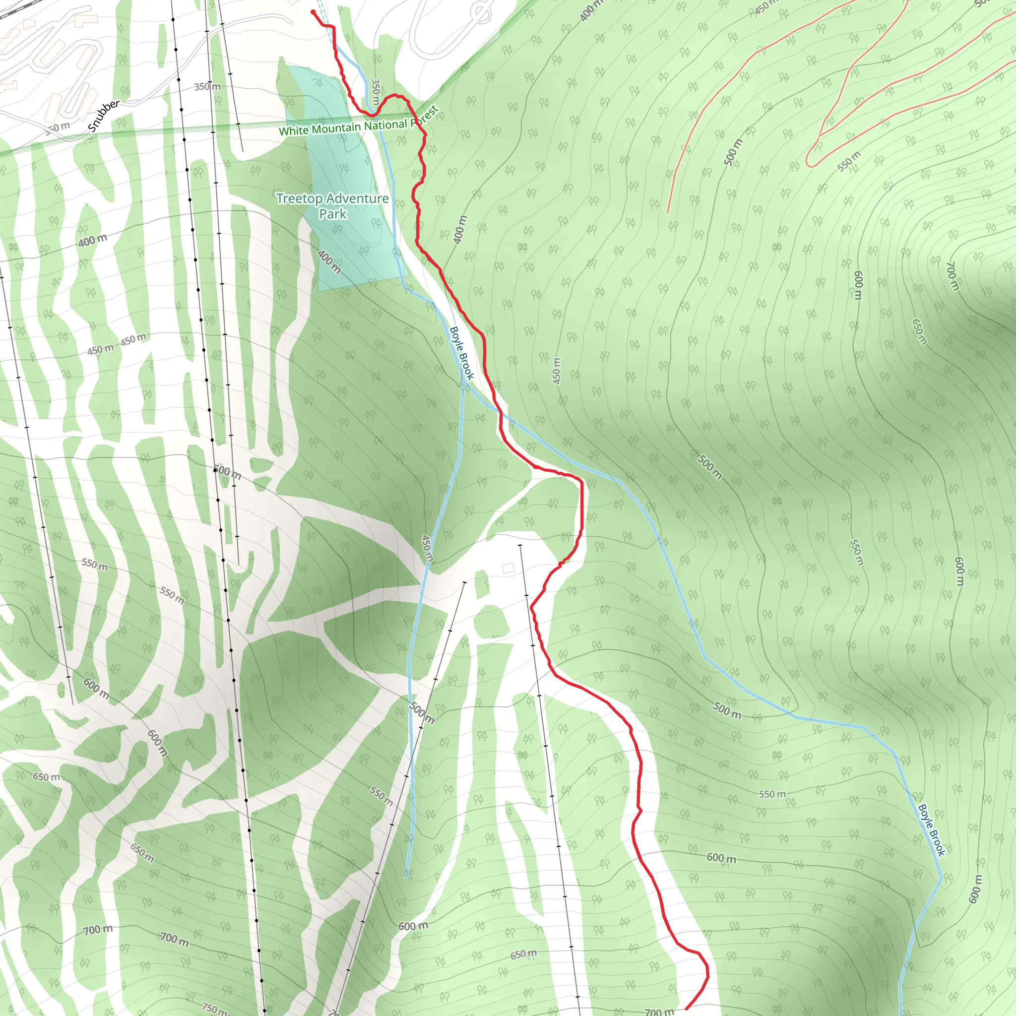 Boyle Brook from Loon Brook Road mobile static map