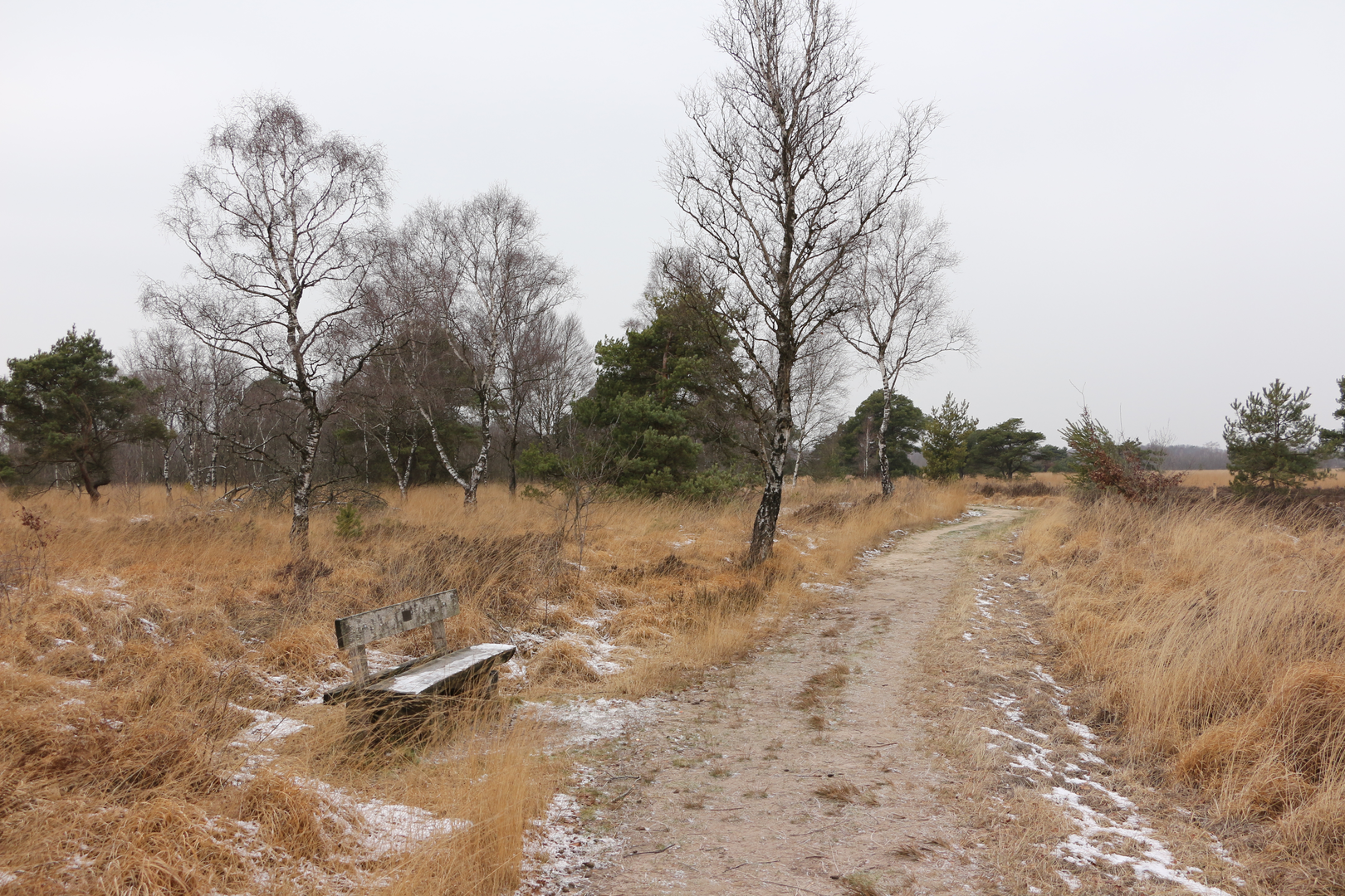 An image depicting the trail Eeuwselse Bodden, De Groote Peel and Aan't Elfde Loop and its surrounding area.