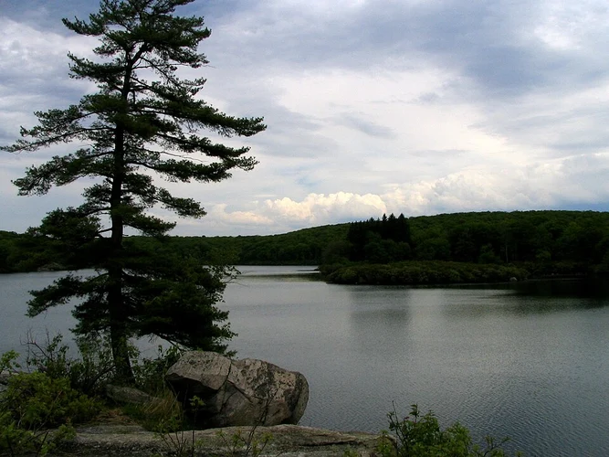 Pine Meadow Lake and Stony Brook via Pine Meadow Trail
