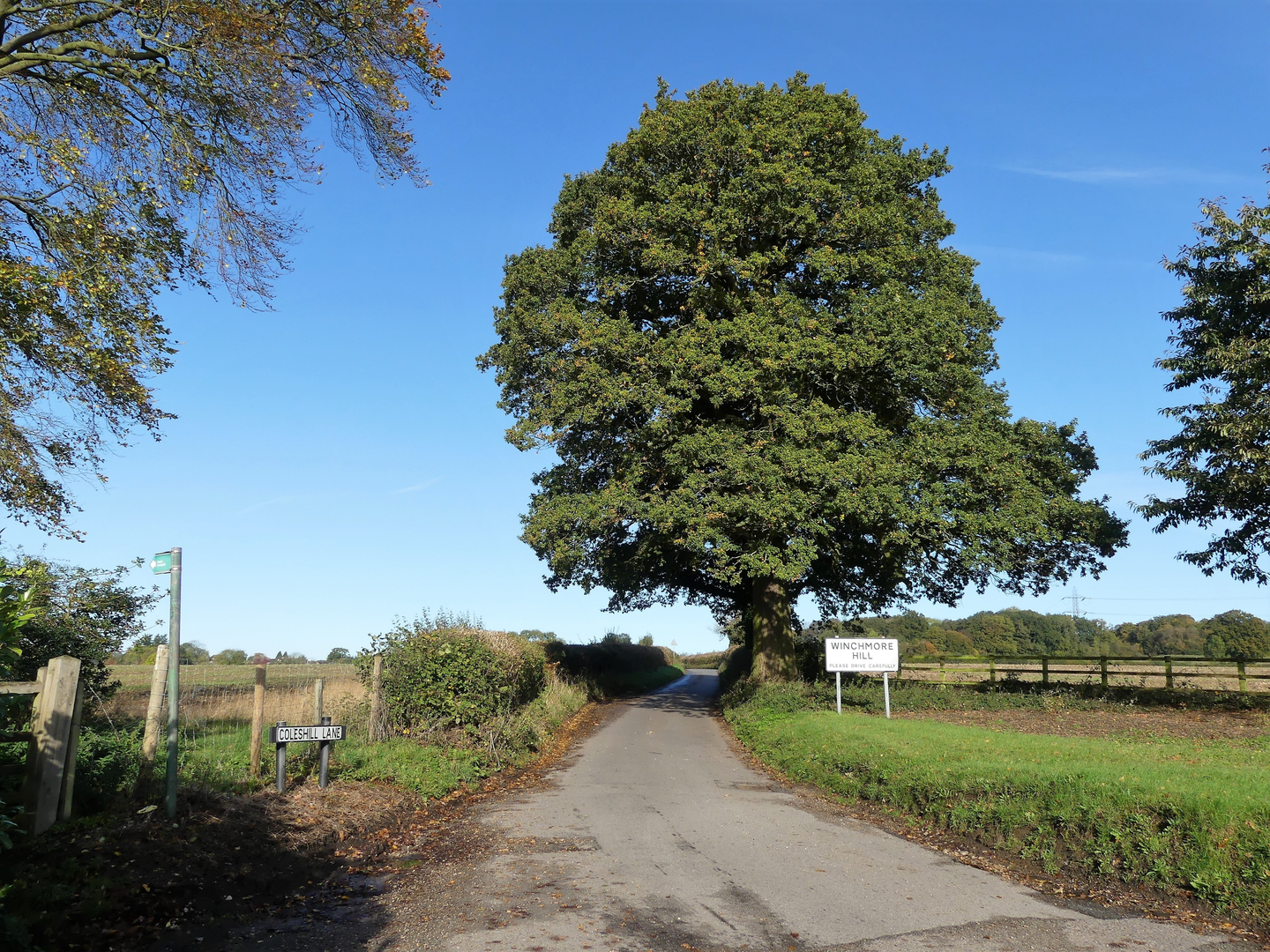 An image depicting the trail Buckinghamshire Way and its surrounding area.