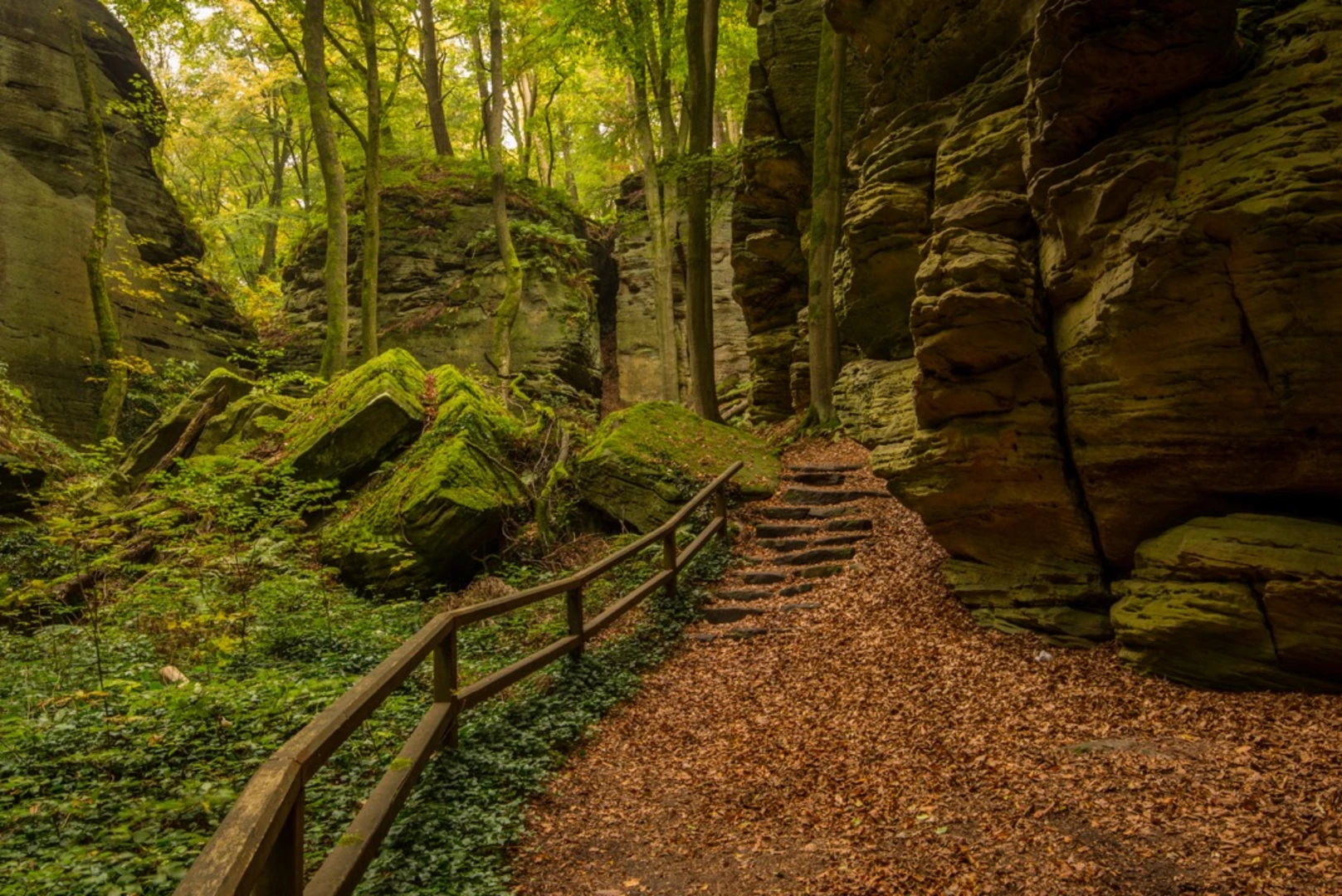 An image depicting the trail Mullerthal 1 and its surrounding area.